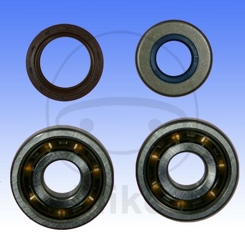 Set di cuscinetti dellalbero a gomiti per Aprilia MX 50 Malaguti XSM 50 Motard