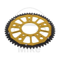 Pignone  DUA 54 denti passo 428 GO ZF 074 / 100