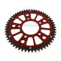 Pignone  DUA 54 denti passo 428 RT ZF 074 / 100