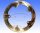 Brake disc EBC for BMW K 1200 R 1150