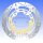 Brake disc X EBC stainless for Suzuki DL 650 GSF 650 1200 1250 GSR 600 750 GSX 650 1250