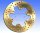Brake disc EBC for Benelli BMW Husqvarna Royal Enfield