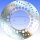 Brake disc Scooter EBC for Yamaha YP 400 Majesty 04-13
