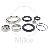 Differential Reparatursatz für Yamaha YFM 660...