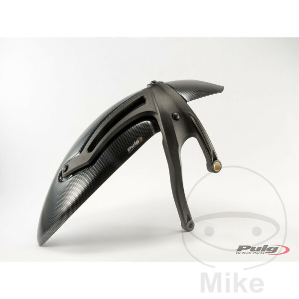 Couverture de la roue arrière en carbone pour BMW R 1200 Nine T # 2015-2017