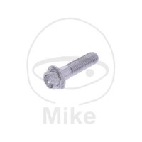 Schraube M8x1,25x30 für Aprilia 50 125 150 200 250...