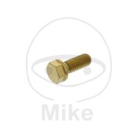 Schraube M8x1,25x20 für Aprilia BMW Ducati Moto Guzzi