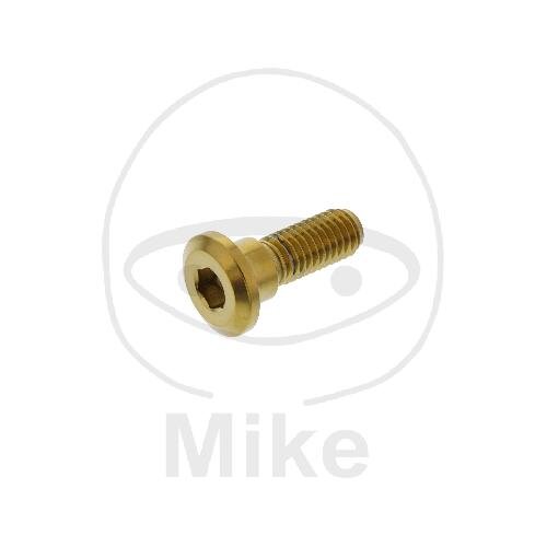 Vite M8x1,25x24 per Honda 110 125 150 250 300 400 420 450 500 550 600 650 680 700 750 900 1000 1100 1300