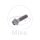 Vite M8x1,25x30 per Aprilia 50 125 150 200 250 300 500 650 Cagiva 125 600