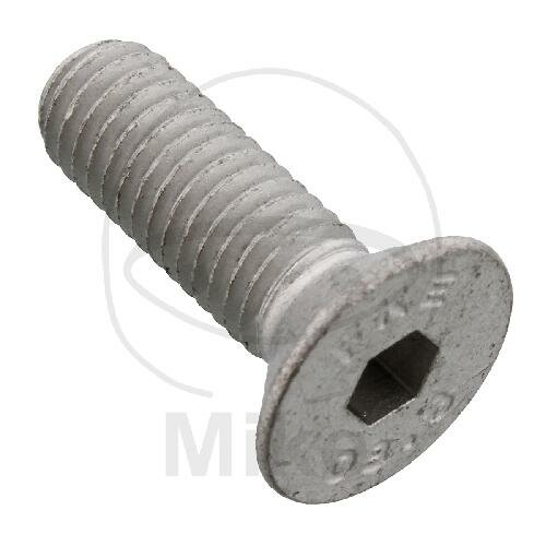 SCHR  OE M8X1.25X20MM