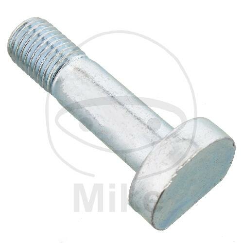 SCHR  OE M10X1.25X38MM