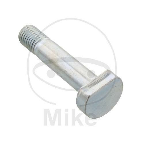SCHR  OE M10X1.25X46MM