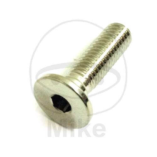 Screw M8x1.25x26 for BMW F 750 800 850 K 1300 1600 R 1200 1250 S 1000