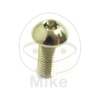 Schraube M8x1,25x20 für BMW Ducati