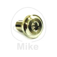 Vis M8x1x13 pour Ducati 796 848 1098 1100 1198 1199 1200...