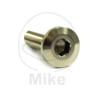 Screw M8x1.25x30 for Kawasaki 50 80 125 250 300 305 400...