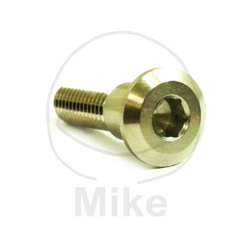 Vis M8x1,25x30 pour Triumph 600 660 675 750 765 800 865 900 955 1050 1200 1215 1600 1700 2300