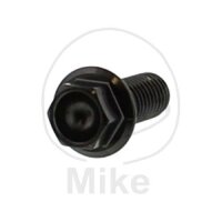 Screw M8x1.25x20 for Aprilia BMW Ducati Moto Guzzi