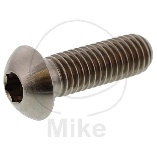 Vite M8x1,25x25 per BMW C1 125 200 F 800 K 100 1100 1200 K1 1000 R 850 1100 1150 1200