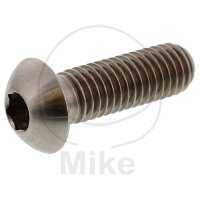 Vite M8x1,25x25 per BMW C1 125 200 F 800 K 100 1100 1200...