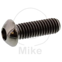Schraube M6x1x18 für BMW F 700 800 HP4 S 1000