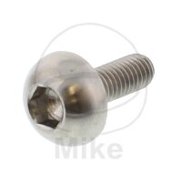 Vite M6x1x17 per Honda 600 700 750 800 900 1000 1100 1300...