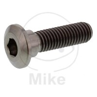 Vis M8x1,25x30 pour Kawasaki 50 80 125 250 300 305 400...