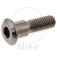 Vis M8x1,25x30 pour Triumph 600 660 675 750 765 800 865...