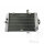 Refrigeratore dacqua per Yamaha YFM 660 Raptor R # 2001-2005