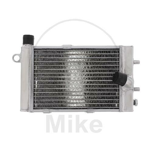 Water cooler for Aprilia RST 1000 RSV 1000 SL 1000 Tuono 1000