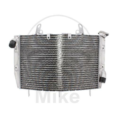 Refrigeratore dacqua per Yamaha YZF-R6 600 2008-2017