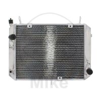 Wasserkühler für Yamaha FJR 1300 2001-2005