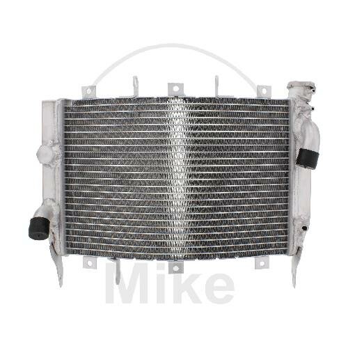 Water cooler for Kawasaki ZX-6R 636 Ninja ZX-6RR 600 Ninja