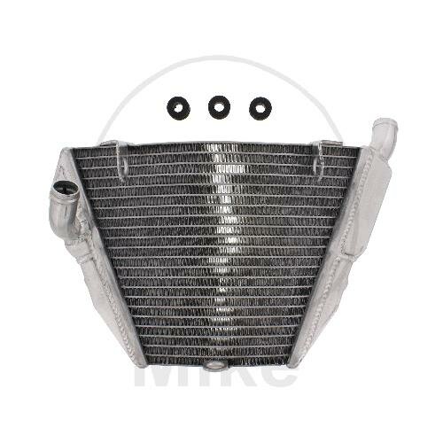 Water cooler for Ducati Streetfighter 848 Streetfighter 1100