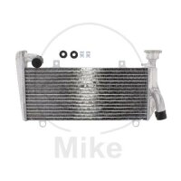 Water cooler for Ducati Panigale 899 959 1199 1299