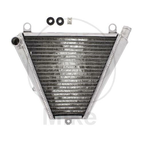 Refrigeratore dacqua per Ducati Panigale 899 959 1199 1299