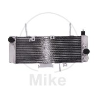 Wasserkühler für Suzuki SV 650 S SU 2003-2004