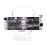 Refrigeratore dacqua per Suzuki SV 650 2003-2004
