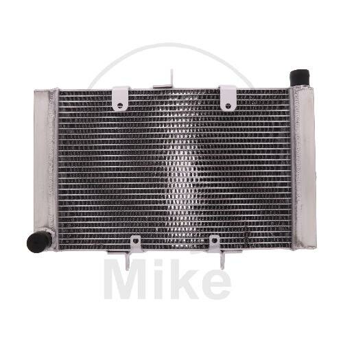 Water cooler for Honda CB 1000 2008-2016 CBF 1000 2010-2016