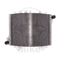 Enfriador de agua para Kawasaki ZZR 1100 1993-2001