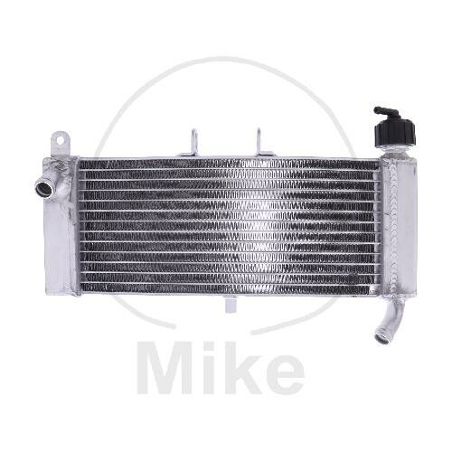 Refroidisseur deau pour Aprilia RS 125 RS4 50 125 Tuono 125 Derbi GPR 50