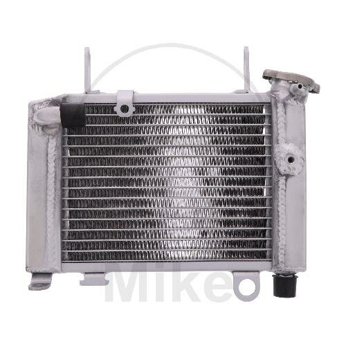 Wasserkühler für Honda CBR 125 2011-2019