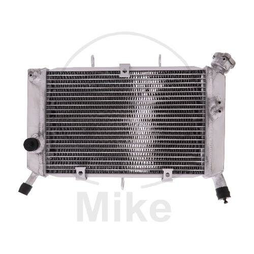 Refrigeratore dacqua per Yamaha XJ6 600 2009-2016
