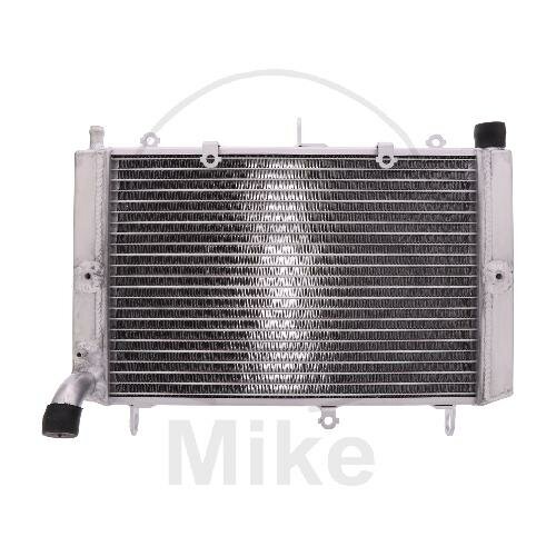 Water cooler for Yamaha FZS 1000 2001-2005