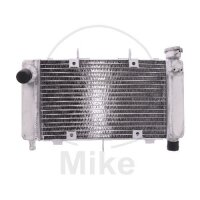 Wasserkühler für Yamaha FZ6 600 2004-2006
