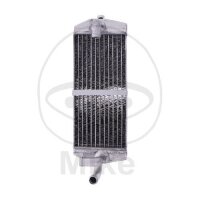 Water cooler for Beta RR 250 RR 300 2013-2019
