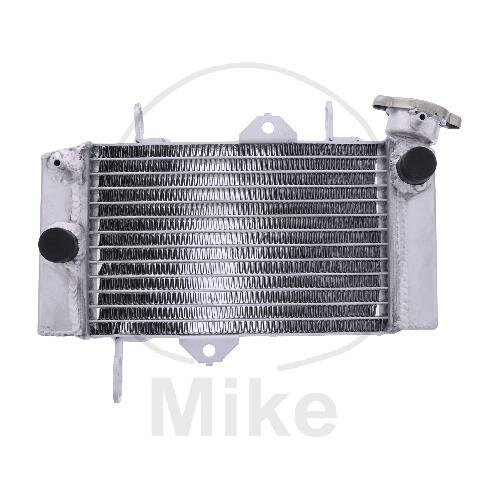 Water cooler for Yamaha MT 125 2014-2020