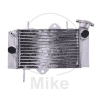 Wasserkühler für Yamaha MT 125 2014-2020