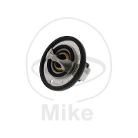 Thermostat for Yamaha FZ6 600 FZ6 S2 600 XJ6 600 YZF-R6 600