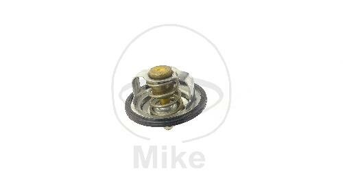 Thermostat for Yamaha FZR 750 FZR 1000 GTS 1000